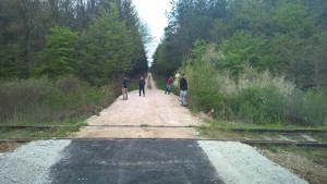 WP_20150417_17_34_24_Pro