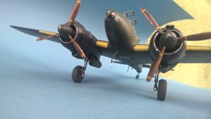 WP_20170125_13_29_04_Pro