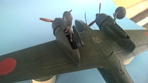 WP_20170125_13_33_47_Pro